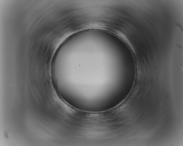 X0000099481339200805231846
