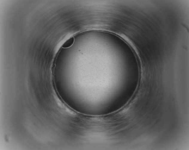 X0000099481341200805231846