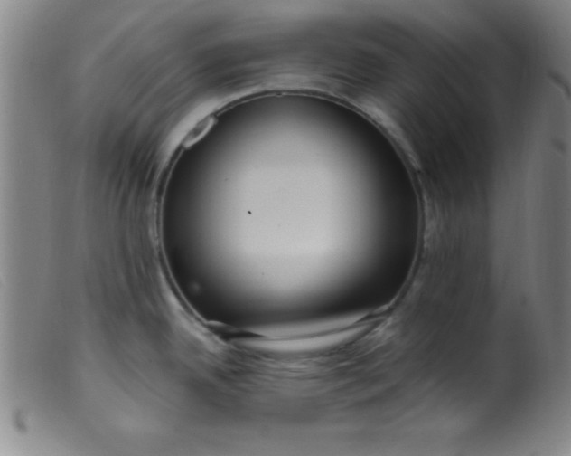 X0000099481342200805231846