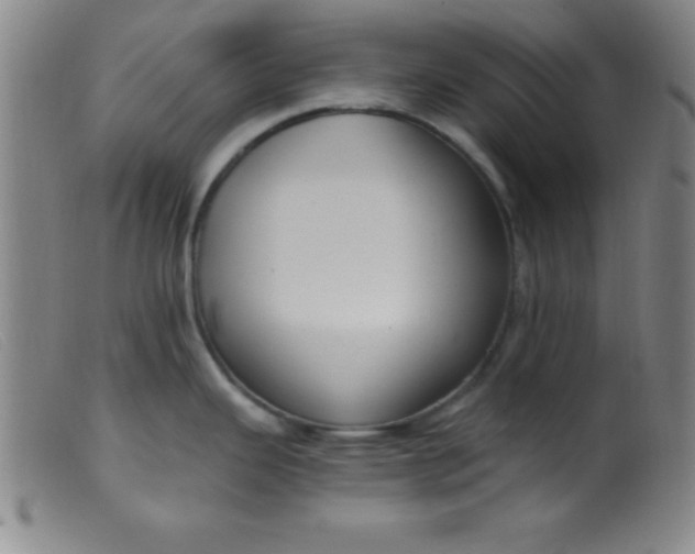 X0000099481343200805231846
