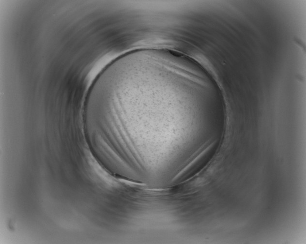 X0000099481344200805231846