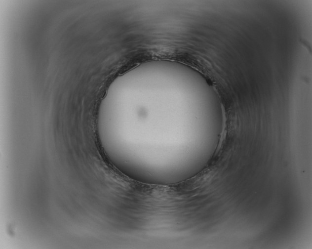 X0000099481345200805231845