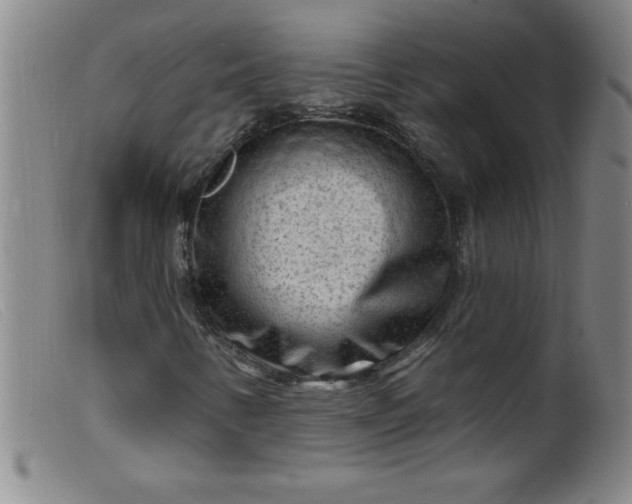 X0000099481346200805231845