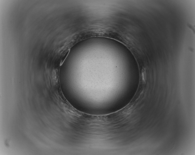 X0000099481347200805231845
