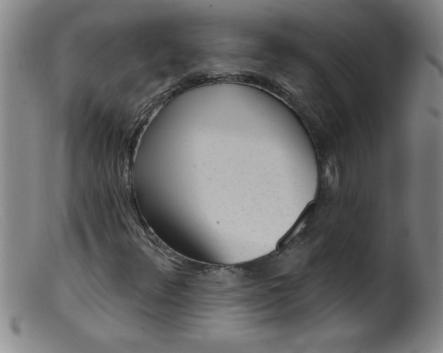 X0000099481348200805231845