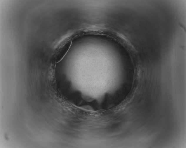 X0000099481350200805231845