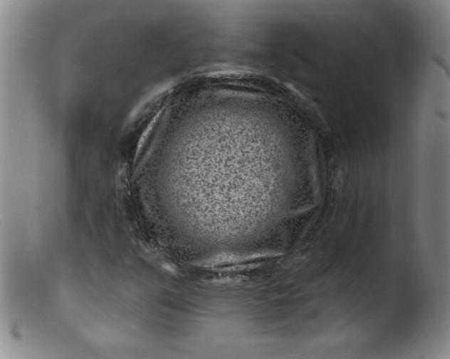 X0000099481351200805231845