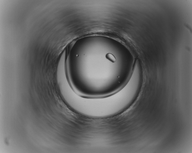 X0000099481353200805231845