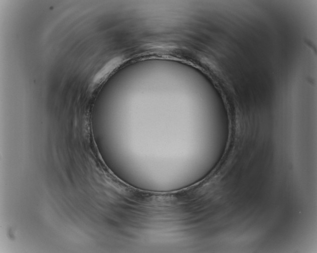 X0000099481354200805231845