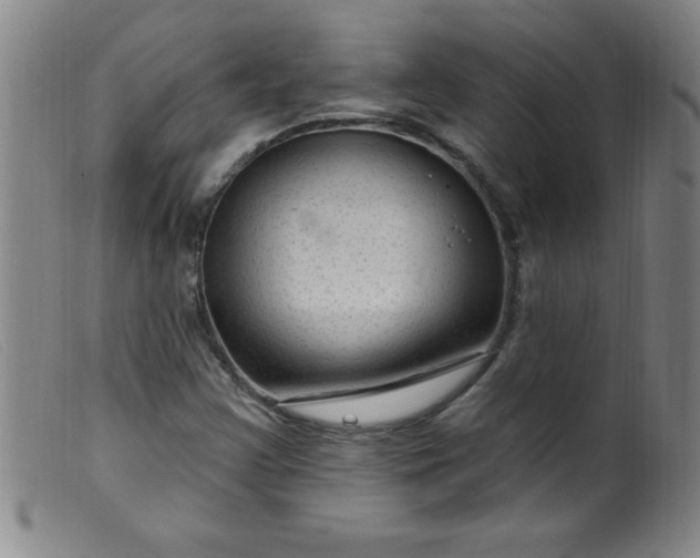 X0000099481355200805231845