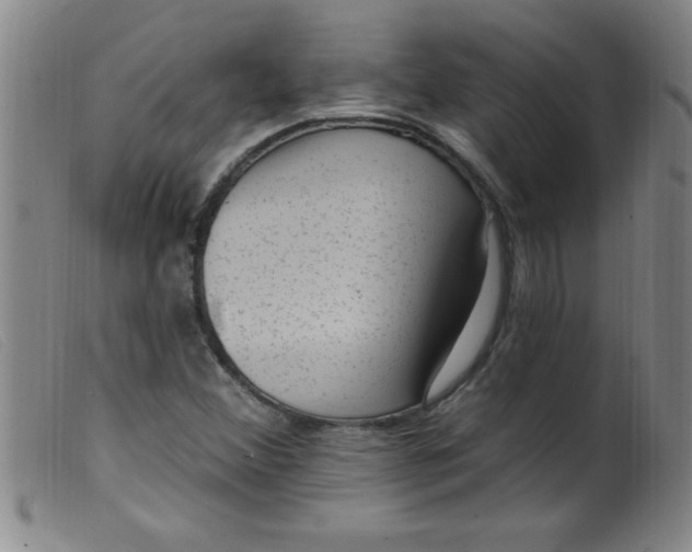X0000099481356200805231845
