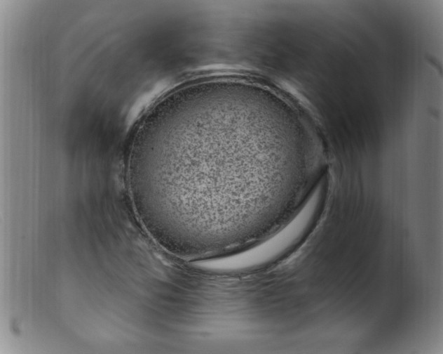 X0000099481357200805231845