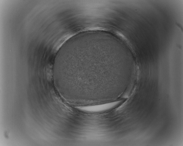 X0000099481361200805231845