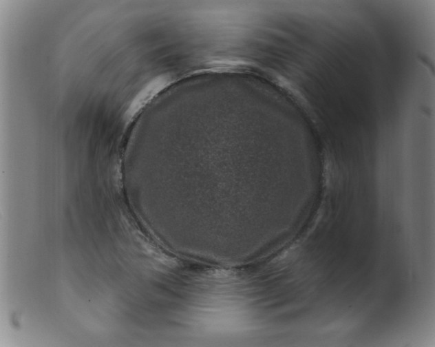 X0000099481362200805231845