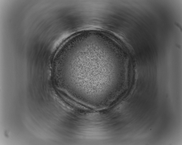 X0000099481363200805231845
