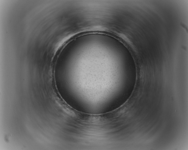 X0000099481364200805231845