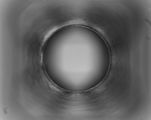 X0000099481366200805231845