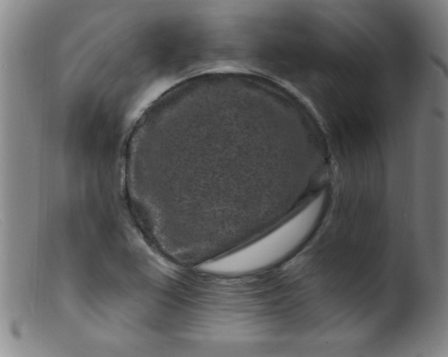 X0000099481367200805231845