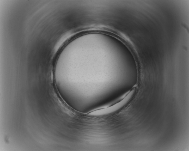 X0000099481368200805231845