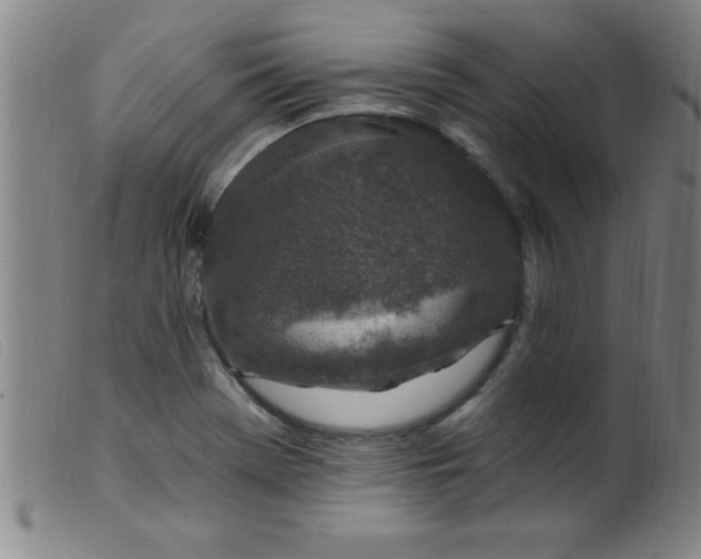 X0000099481369200805231845