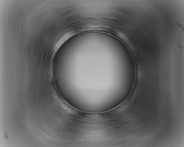 X0000099481370200805231845