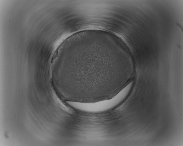 X0000099481371200805231845