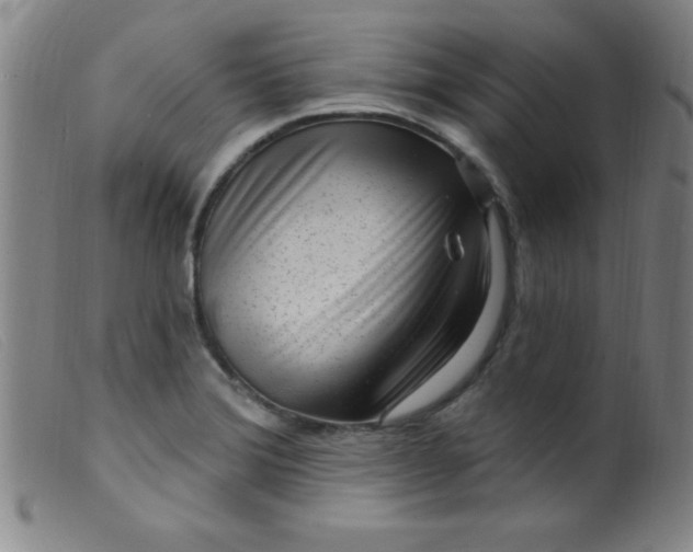 X0000099481372200805231845