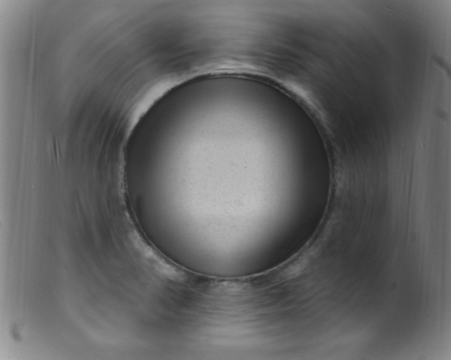 X0000099481374200805231845