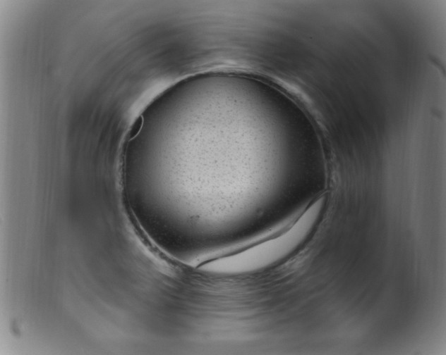 X0000099481375200805231845