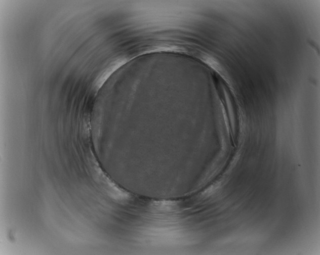 X0000099481377200805231845