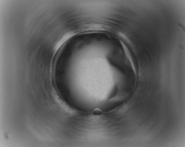 X0000099481378200805231845