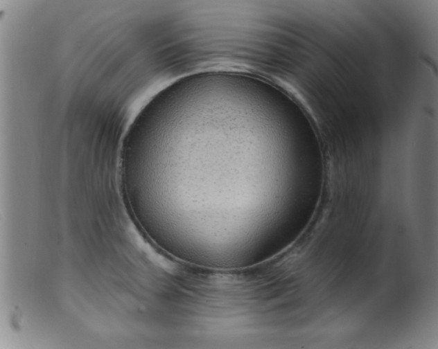 X0000099481379200805231845