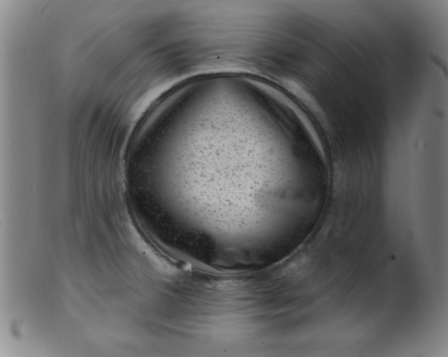 X0000099481380200805231845