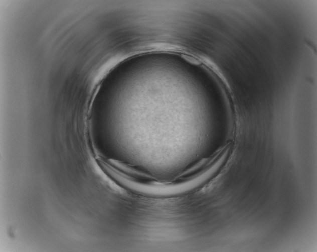 X0000099481381200805231845