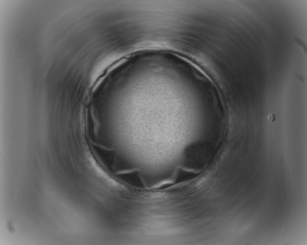 X0000099481382200805231845