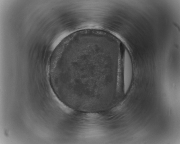 X0000099481383200805231845