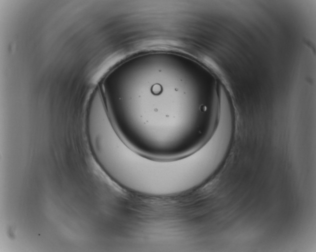 X0000099481384200805231845