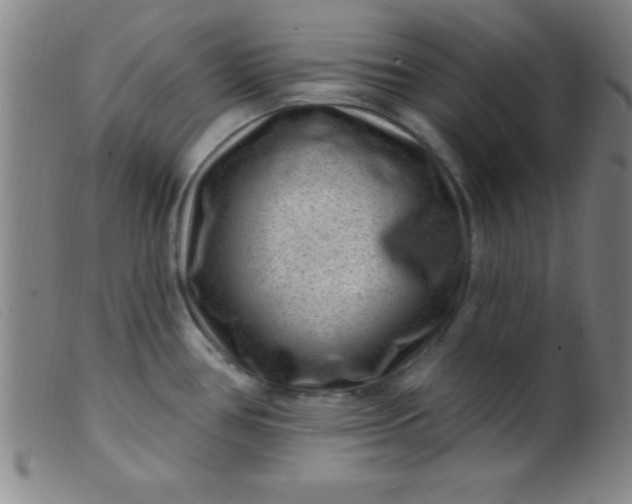 X0000099481386200805231845