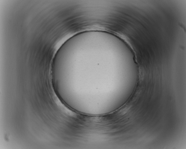 X0000099481387200805231845