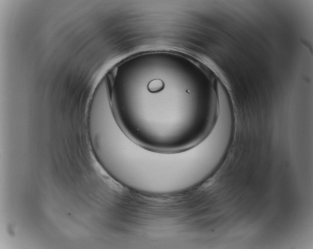 X0000099481388200805231845