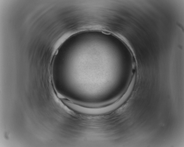 X0000099481389200805231845