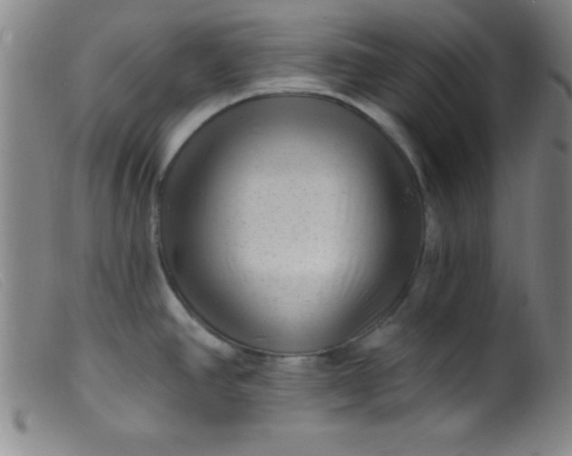 X0000099481390200805231845