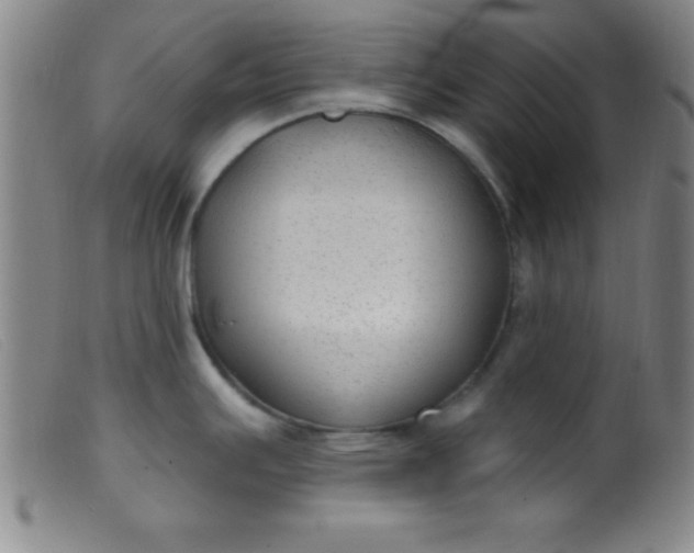 X0000099481391200805231844