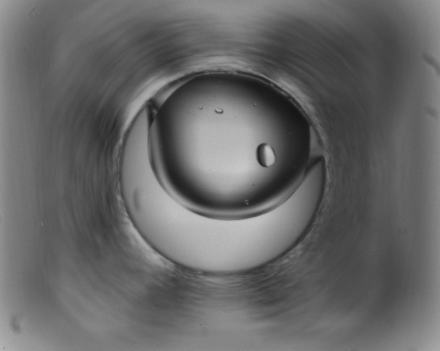X0000099481392200805231844