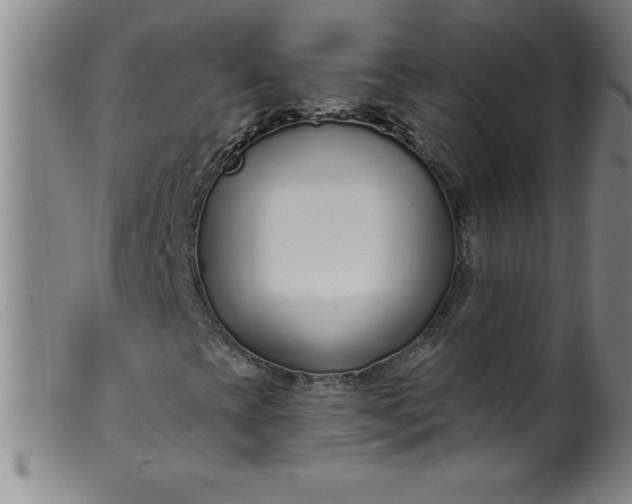 X0000099481393200805231843