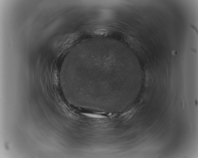 X0000099481394200805231843