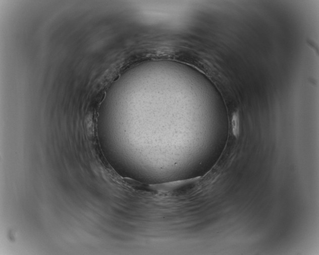 X0000099481395200805231843