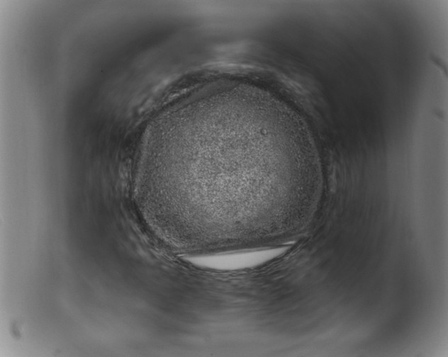 X0000099481397200805231843