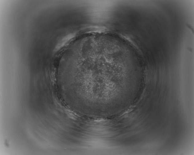 X0000099481399200805231844