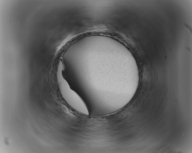X0000099481400200805231844
